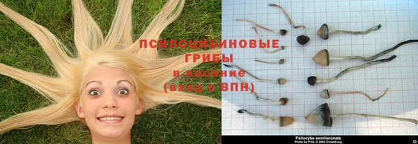 амфетамин Алзамай