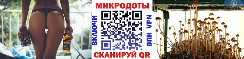 Псилоцибиновые грибы Cubensis  как найти закладки  Лукоянов 